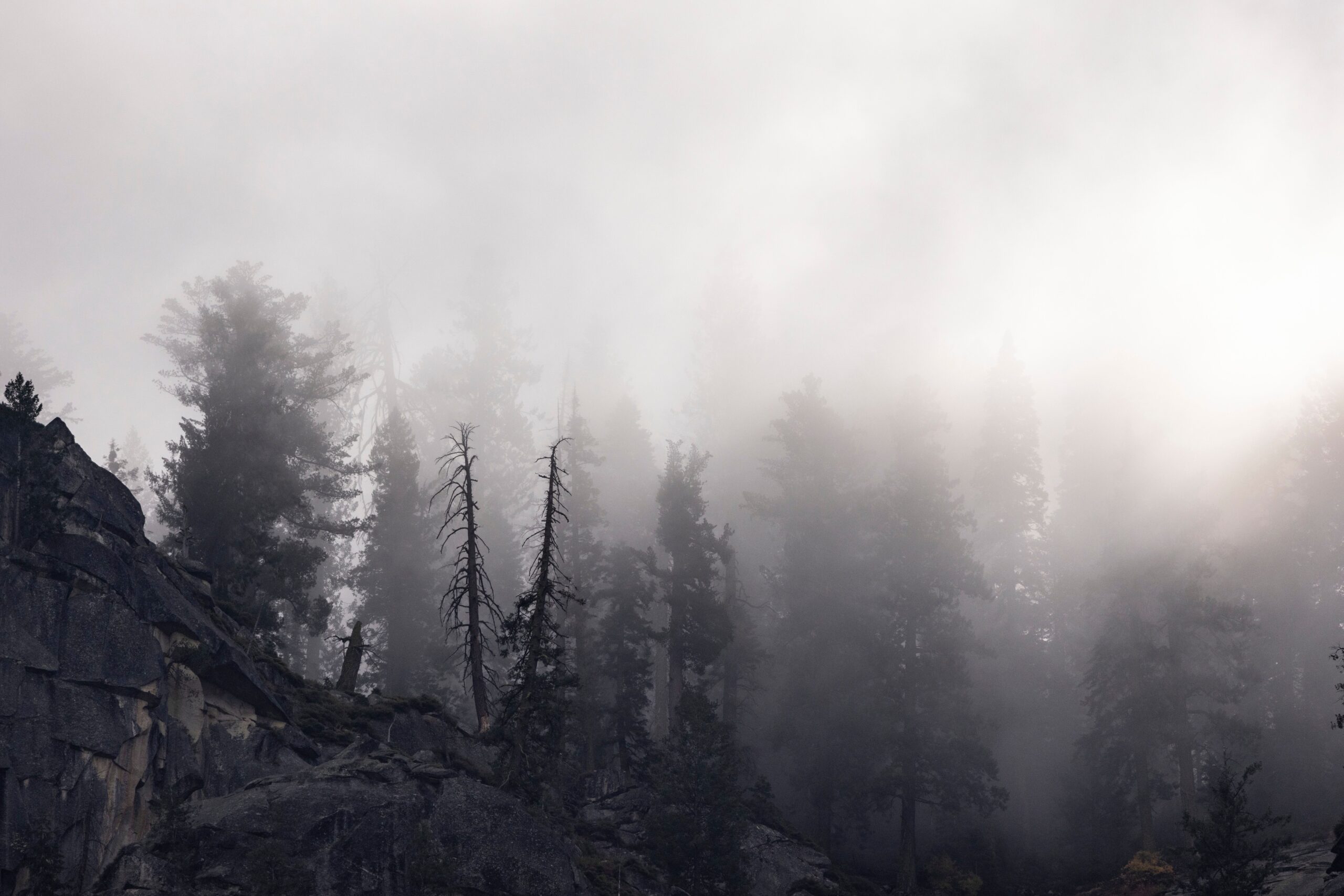 Dream Meaning Building 3D Lottery: Unraveling the Symbolism Behind Your Vision