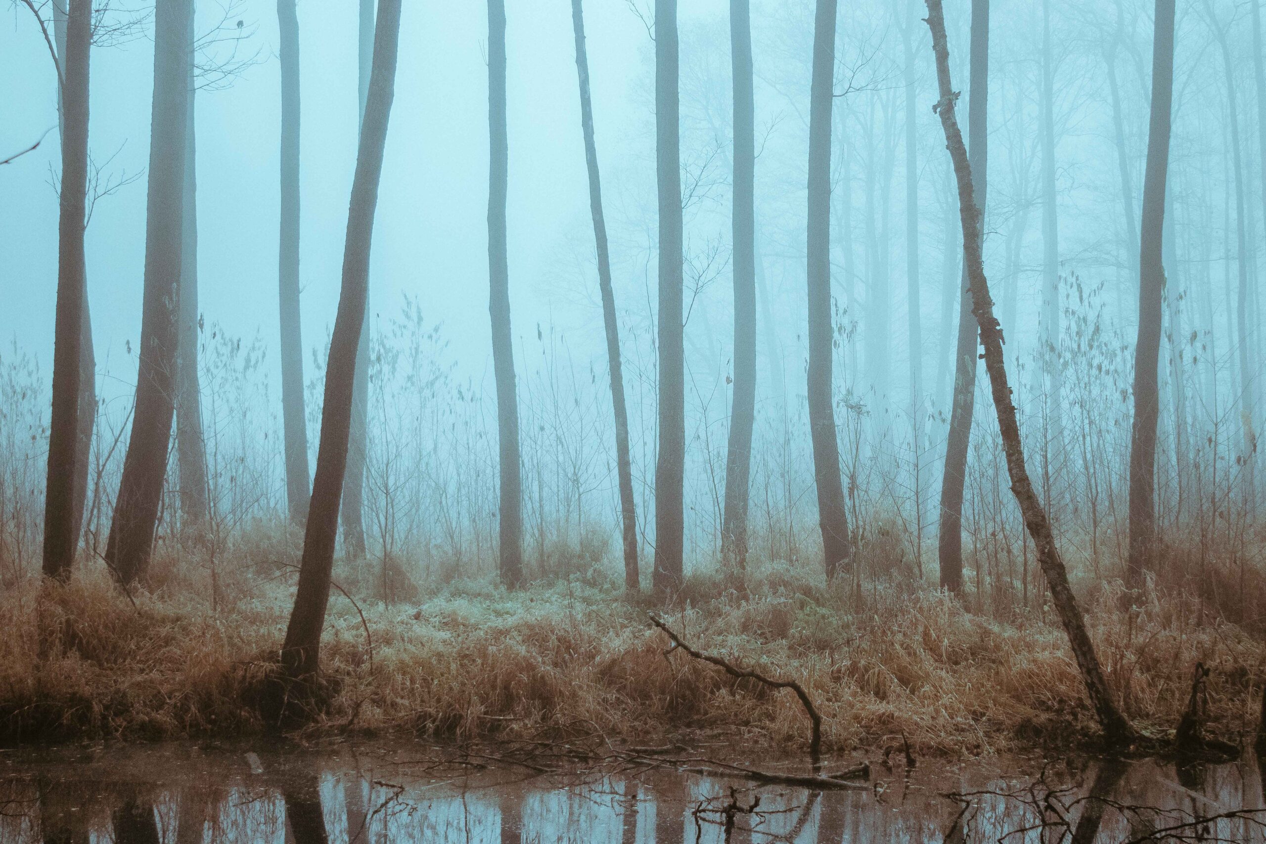 Unlocking the Secrets: Dream Interpretation, Meat, Mystic Numbers, and What They Mean for You